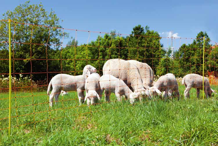 CORRAL Siatki dla owiec Siatka ogrodzeniowa dla owiec wysokość 90 cm lub 108 cm długość 50 m 14 stabilnych plastikowych palików przewodzi prąd poziomo przewodnikami ze stali nierdzewnej 3 x 0,2 mm