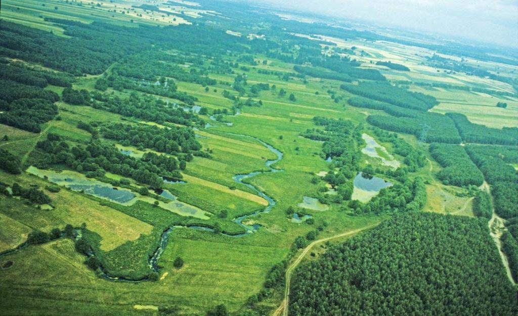 Takiej Zwolenki już nie ma w latach 60-tych w dolinie rzeki nie było praktycznie w ogóle lasów powolne wycofywanie