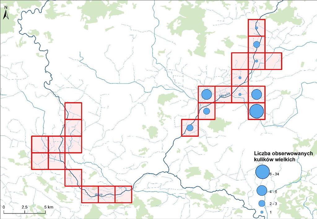 Nie obserwowano kulików wielkich na żadnej spośród powierzchni monitoringowych zlokalizowanych w dolinie Wkry.