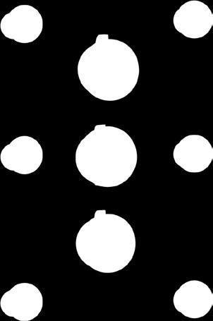 3-krotny diverter; 6 dysz natryskowych