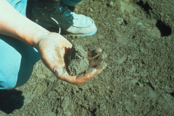 Charakterystyka betonu wałowanego Mała zawartość wody zarobowej, 90 120 kg/m3 Wysoka zawartość w składzie mieszanki frakcji pylastych (<0,075 mm), 2 8% Wysoki punkt piaskowy Możliwość stosowania