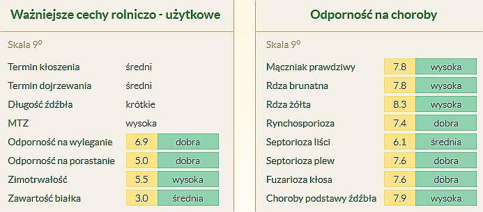 Posiada piękne, grube ziarno w typie pszennym o wysokiej zawartości białka. Rotondo jest odmianą średnio wczesną. Posiada dobrą zdrowotność.