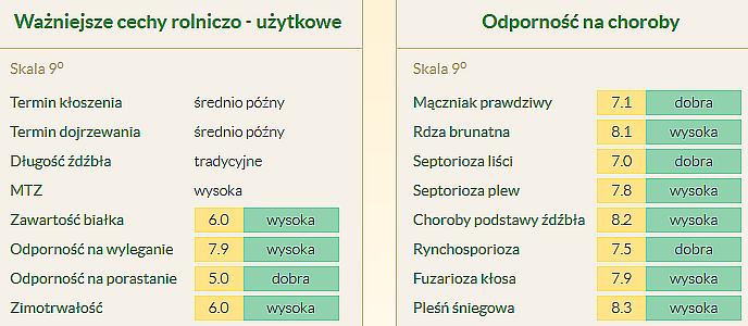 Pszenżyto PALERMO - stabilny, wysoki plon! Odmiana pszenżyta ozimego o bardzo wysokim i stabilnym plonie.