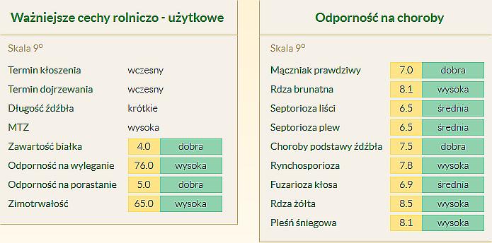 Pszenżyto TWINGO Krótkie, sztywne, wczesne i zimotrwałe! Odmiana pszenżyta ozimego o skróconym źdźble i bardzo dobrej odporności na wyleganie, polecana do intensywnej technologii uprawy.