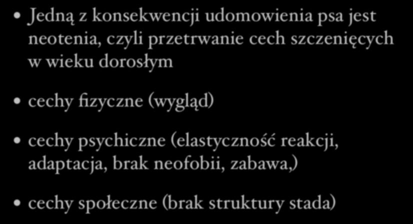 Neotenia Jedną z konsekwencji udomowienia psa jest neotenia, czyli przetrwanie cech szczenięcych w wieku dorosłym cechy