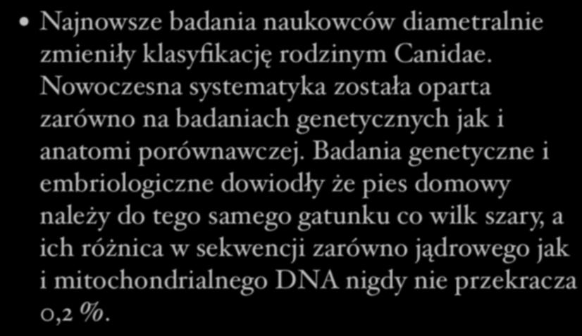 Skąd wziął się pies? Najnowsze badania naukowców diametralnie zmieniły klasyfikację rodzinym Canidae.