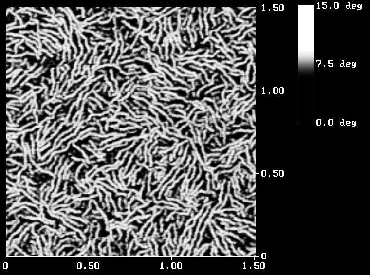Polythiophene nanowires (d ~ 30 nm, l~ 1 micron) From