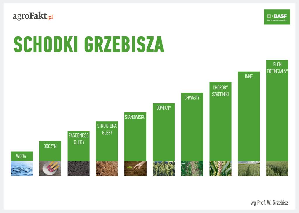 .pl https://www..pl Schodki Grzebisza. Zdążyć na czas z zabiegami fungicydowymi Czas odgrywa pierwsze skrzypce w ochronie fungicydowej.