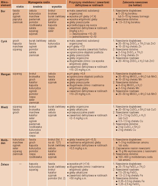 Tabela 7.