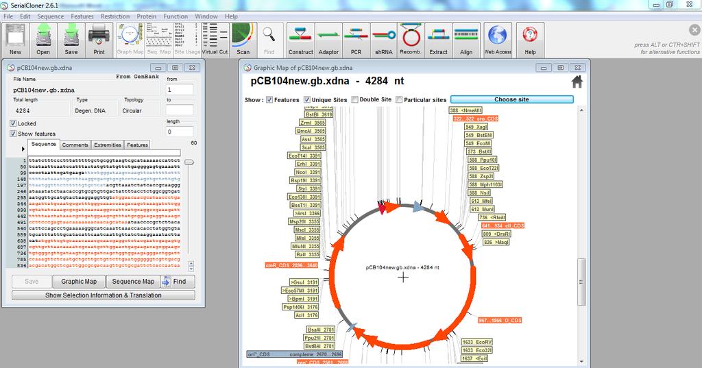 Wprowadzanie sekwencji do programu: file open wybór pliku (plazmid pcb104) w celu wizualizacji plazmidu wybierz opcję Graphic Map, a następnie wybierz opcję Circularize Po wczytaniu danej sekwencji