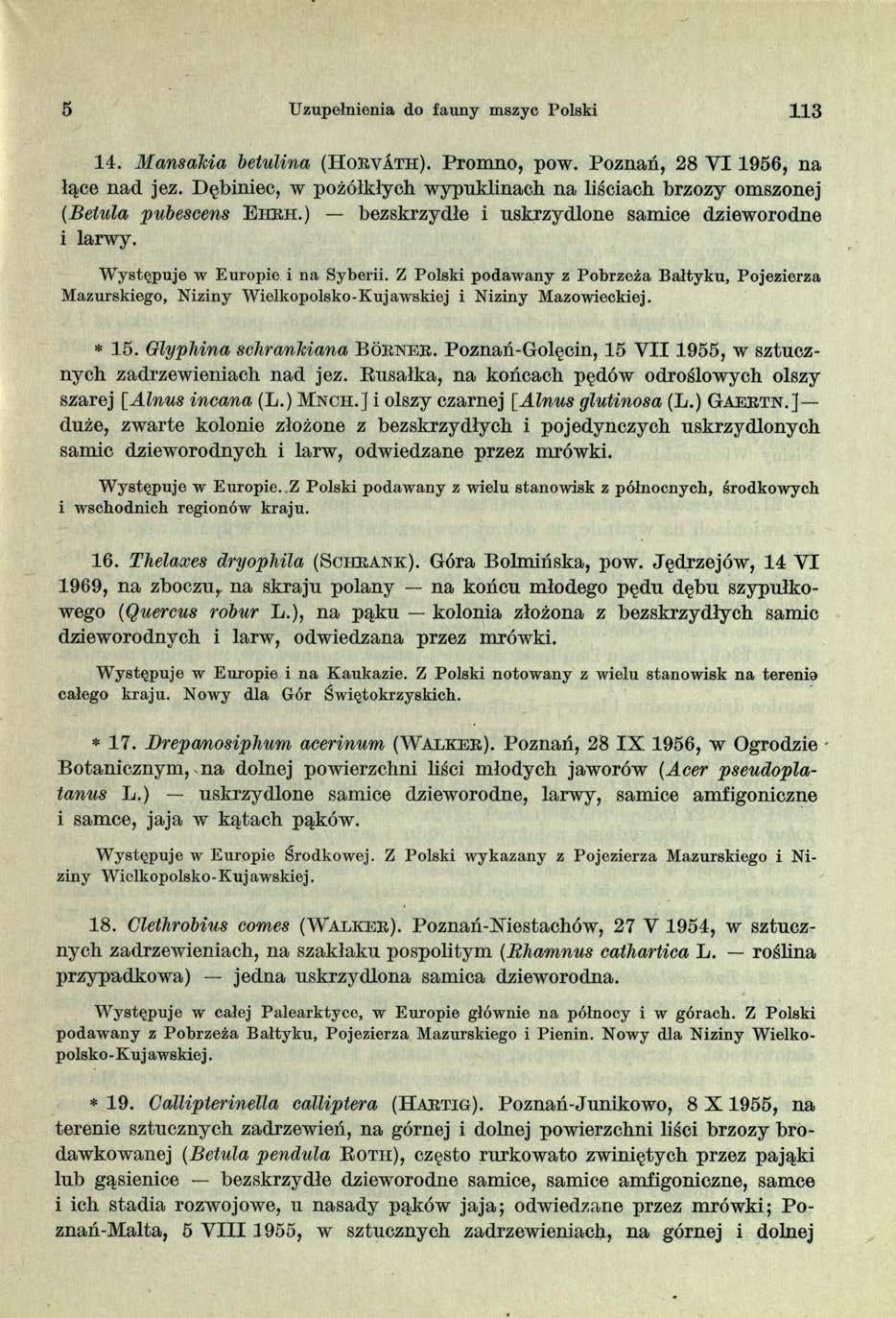 5 Uzupełnienia do fauny mszyc Polski 113 14. MansaMa betulina (H orvath). Promno, pow. Poznań, 28 VI 1956, na łące nad jez.