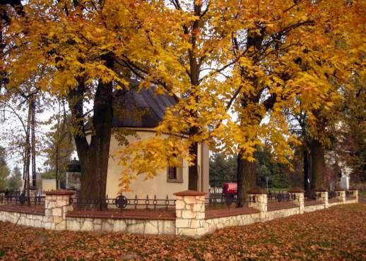 PAŹDZIERNIK 2014 foto: Jerzy Piasecki Czujesz się osamotniony. Postaraj się odwiedzić kogoś, kto jest jeszcze bardziej samotny. św.