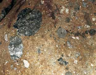 zwietrzałej powierzchni. Wyniki analiz geochemicznych suevitu wskazują, że meteoryt, który uderzył w podłoże, był meteorytem żelazistym (Goderis i in., 2009). Utwory poimpaktowe (Kalleson i in.