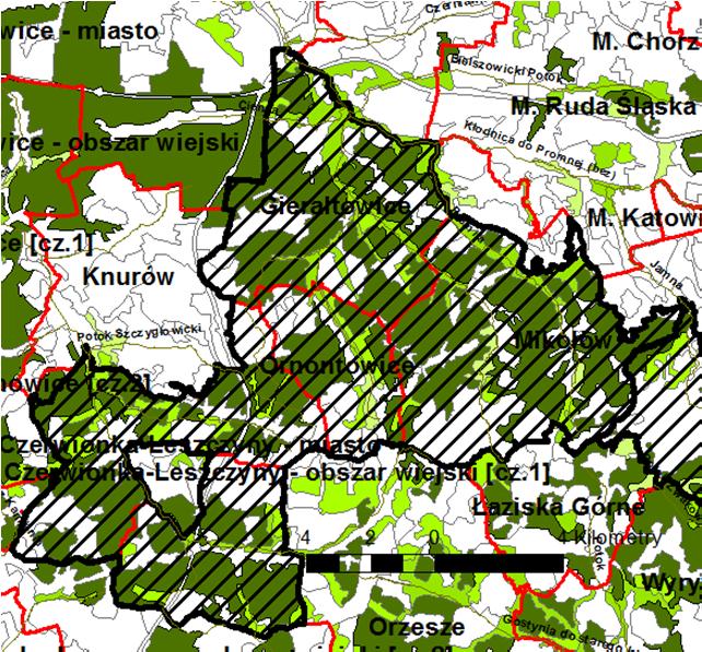 Dziennik Urzędowy wa Śląskiego 11 Poz.