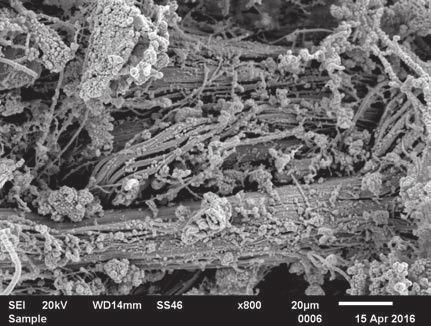 Przybliżony skład chemiczny włókien azbestu określony metodą EDS. Table 1. Approximate chemical composition of asbestos fi bres determined by EDS. Pierwiastek Udział Mg O Si Ca Al S inne [% mas.