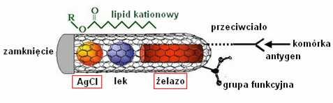 Nanorurki węglowe do zastosowań biomedycznych nanotermometr ferromagnetyk nanorurka