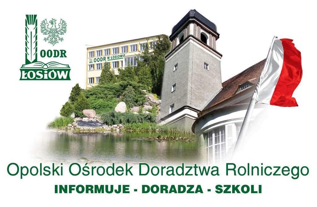 Program działalności Opolskiego Ośrodka Doradztwa Rolniczego w Łosiowie na 2013r.