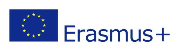 Raport z ewaluacji projektu Europejska praktyka elektryka i elektronika dofinansowanego w ramach programu Erasmus+, Akcja 1.