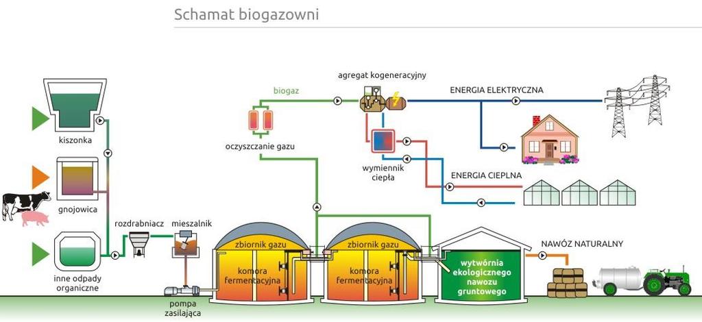 zbiorników fermentacyjnych, przykrytych szczelną membraną, zbiorników pofermentacyjnych lub laguny, układu kogeneracyjnego (silnik gazowy plus generator elektryczny) produkującego energię elektryczną