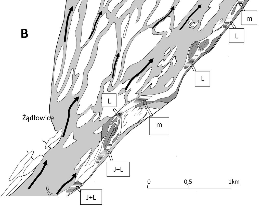 Rzeźba doliny Pilicy... Przyczyną tak dalekiego przekształcenia powierzchni tarasu są występujące w strefie współczesnego koryta wychodnie trudno rozywalnych utworów z podłoża doliny (rys. 4).