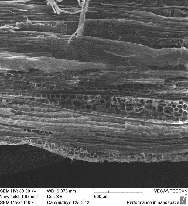 Effect of some biotechnical preparations on the growth of