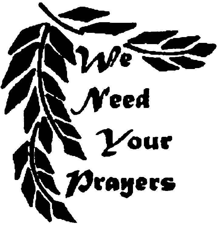 IV Sunday in Ordinary Time Gospel Meditation Encourage Deeper Understanding of Scripture "Rejoice and be glad, for your reward will be great in heaven.