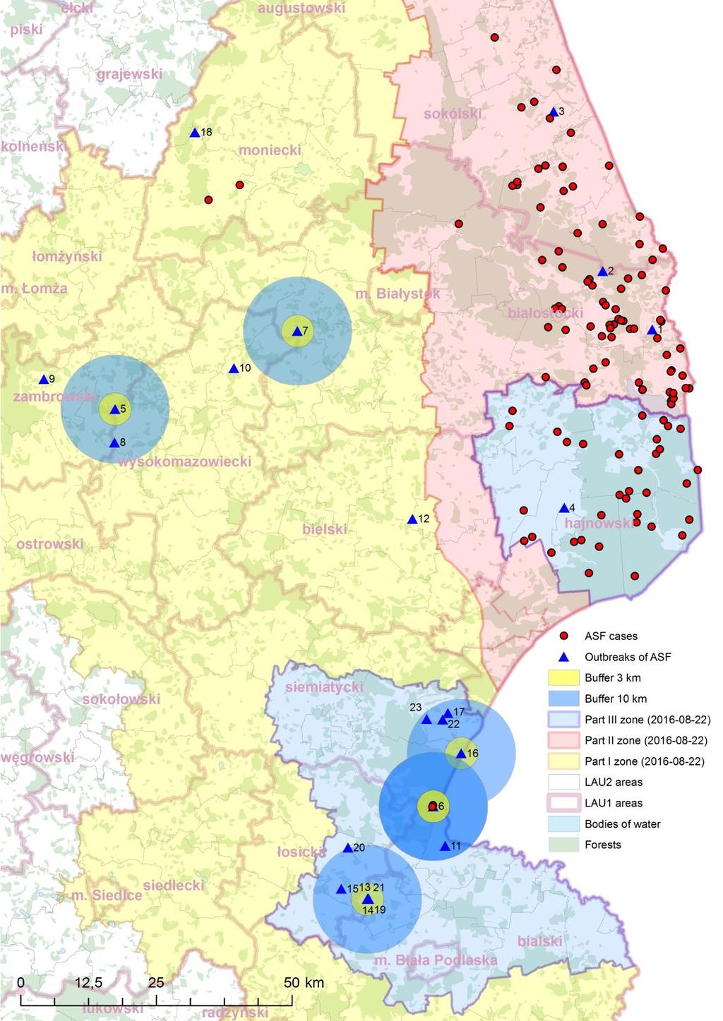 Zgrupowania ognisk ASF I. 6 ognisk (13,14,15,19, 20, 21) w obrębie strefy zagrożonej. II.