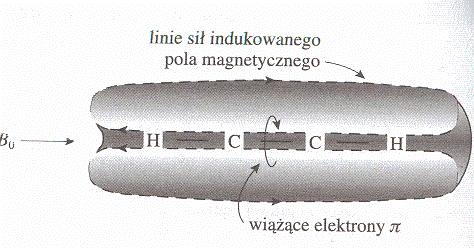 B 0 anizotropia