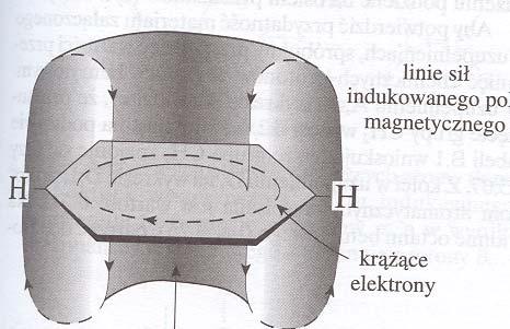 linie sił indukowanego