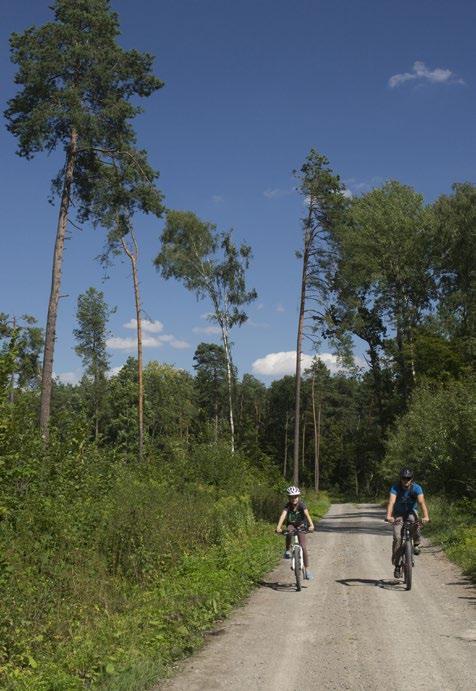 Nadleśnictwo Kraśnik