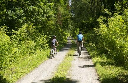 Wówczas w miejscowości Pułankowice należy z drogi krajowej nr 19 skręcić w lewo w drogę nr 842 w kierunku Krasnegostawu. Po 4 km kierujemy się na prawo, do wsi Rudki.