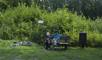 To efekt pracy leśników, polegający na odnowieniu drzewostanu w taki sposób, aby jego skład gatunkowy był zgodny z warunkami siedliskowymi. Na przystanku tym ustawiono tablicę Uprawa leśna.