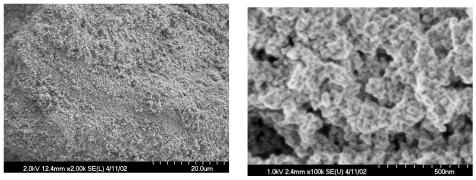 The secondary electron (SE) photomicrographs of fresh : (a) 2000x, (b) 100,000x