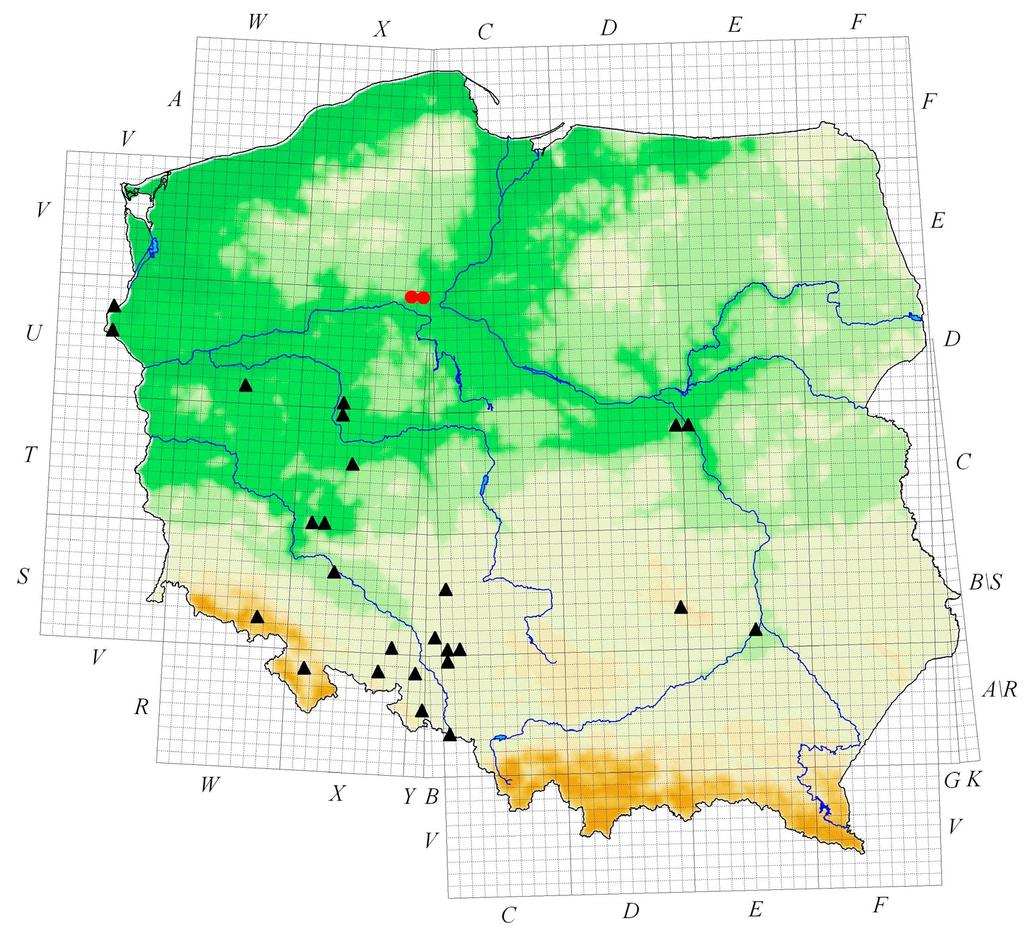 Przegląd Przyrodniczy XXVIII, 2 (2017) Ryc. 1. Fig. 1. Stanowiska Tritomegas sexmaculatus w Polsce według siatki UTM (czarne trójkąty stanowiska publikowane, czerwone koła nowe stanowiska).