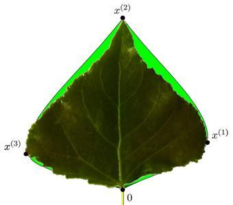 Funkcja wielomianowa Wielomianem stopnia n nazywamy funkcję określoną na zbiorze liczb rzeczywistych w postaci: Gdzie: w(x) = a 0 + a 1 x + a 2 x 2 + a 3 x 3 + + a n x n a liczby rzeczywiste nazywane