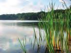 Zachowane obwałowania grodziska pierścieniowatego, 6 Jezioro Budzisławskie przyciąga czystą wodą, nierzadko o 10-metrowej przejrzystości.
