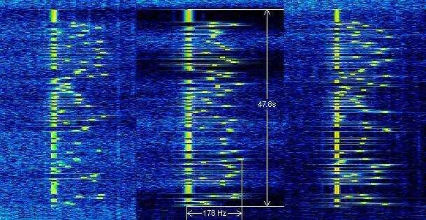 Czasami przeglądając pasma możemy się natknąć na dziwne sygnały, które na wodospadzie MixW wyglądają jak poniżej: Wyraźnie widoczne są impulsy synchronizacji o tej samej częstotliwości (1270,5Hz) i