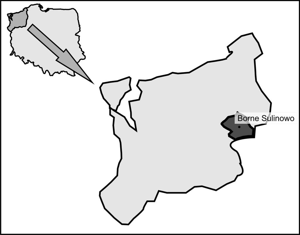 Szczególnie słabo zaludniony jest obszar byłego poligonu wojskowego na południe od Bornego Sulinowa. Ryc. 1. Położenie geograficzne gminy Borne Sulinowo.