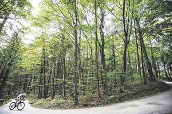 Kolesarske poti različnih težavnostnih stopenj vodijo po cestah, urejenih gozdovih in zanimivih krajih po Ljubljanski urbani regiji.