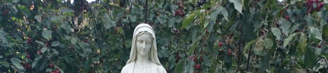 September 7, 2014 23rd Ordinary Sunday Page Eight INVITATION TO JOIN THE MEMORIAL BRICK PROJECT AROUND THE STATUE OF THE BLESSED MOTHER The place on our property around the statue of the