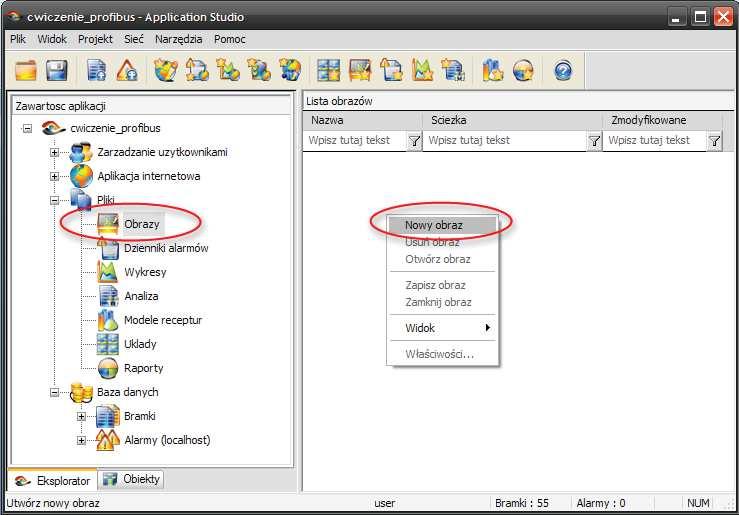 Tworzenie nowego obrazu synoptycznego w drzewie projektu do sekcji Obrazy.
