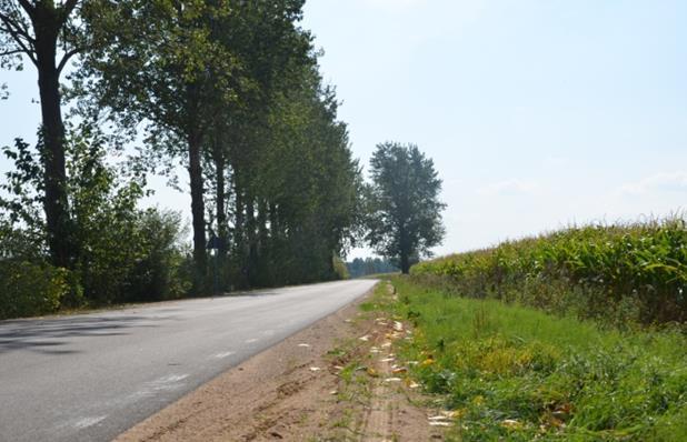 98 km Wzmocnienie istniejącej nawierzchni dwiema warstwami masy bitumicznej, wykonaniem obustronnych poboczy z kruszywa naturalnego oraz