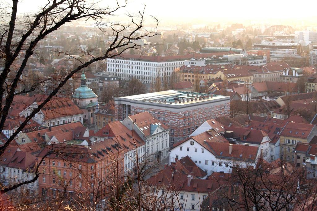 gmachy bibliotek wyróżniają się z tła Fot. B.