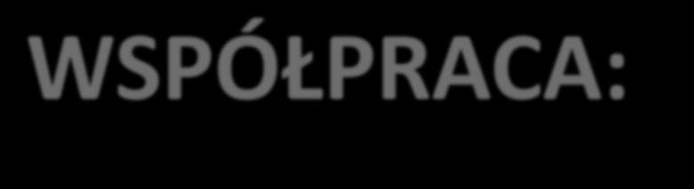 WSPÓŁPRACA: Projekt technologiczny, dostawa i kompletny montaż instalacji do uzdatniania i kondycjonowania wody, Zabezpieczenie układów (grzewczych/chłodniczych) przed procesami korozyjnymi i