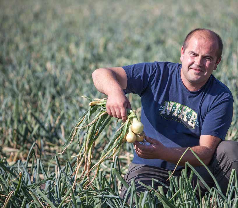 porównywana do najlepszych obecnie stosowanych i rekomendowanych rozwiązań w tym segmencie produktów.