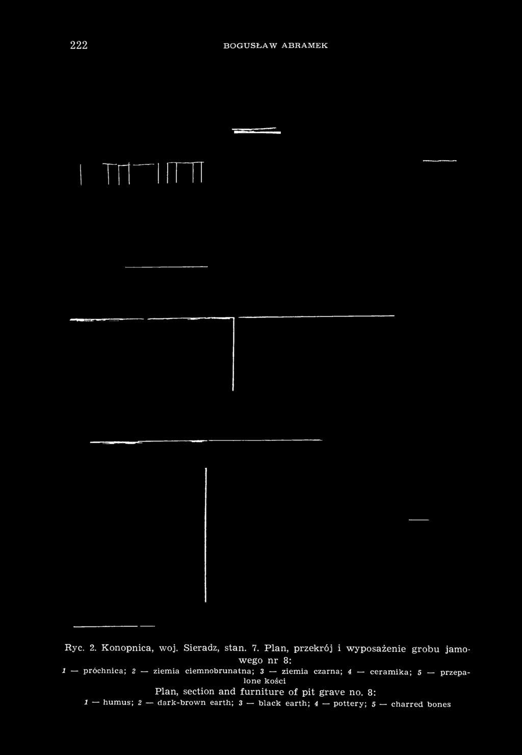 ciemnobrunatna; 3 ziemia czarna; 4 ceramika; 5 przepalone kości Plan, section