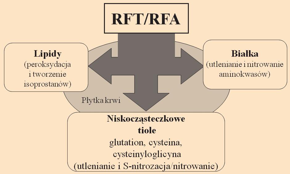 krwi towarzyszy odszczepienie od powierzchni płytek mikropęcherzyków, które obdarzone są właściwościami prokoagulacyjnymi oraz ekspozycja ujemnie naładowanych fosfolipidów fosfatydyloseryny, co