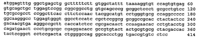 142 5 <2> 37 <211> 414 <212> DNA <213> Sekwencja sztuczna <2> <223> h3d6