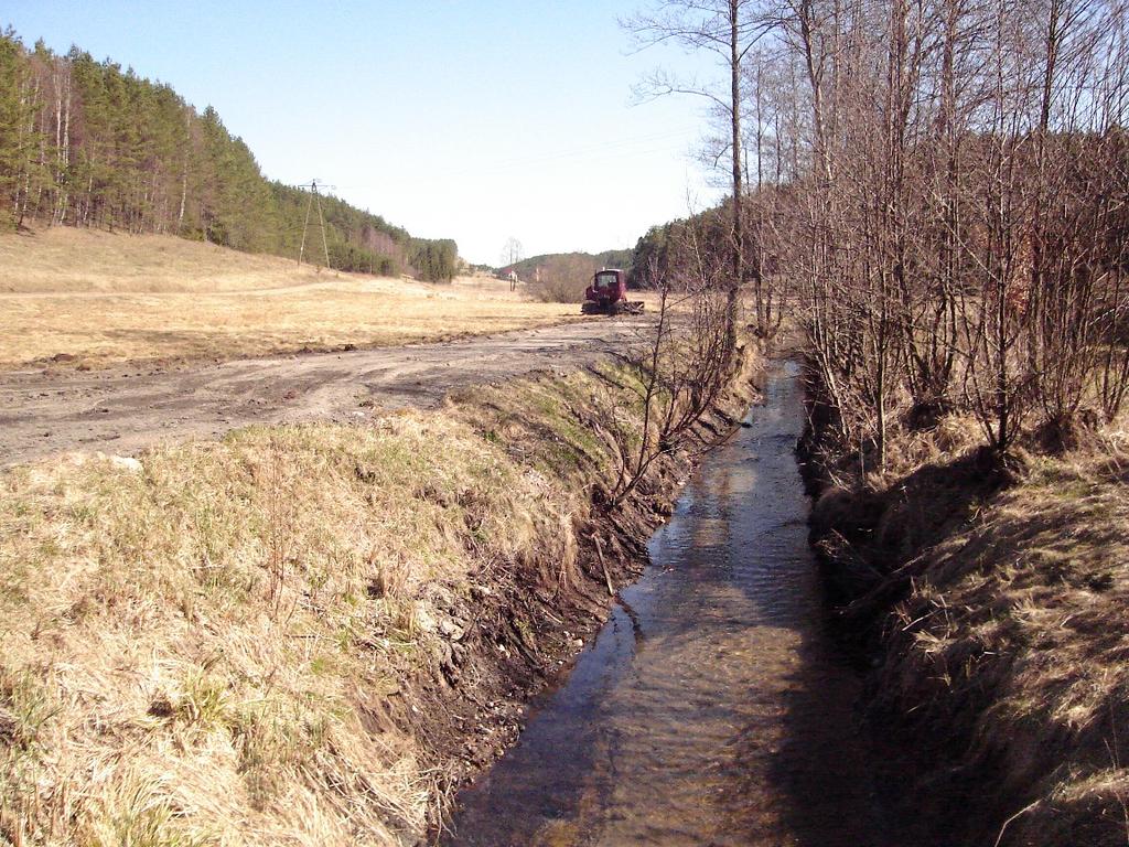 Uregulowany odcinek Czystej Wody dopływu górnej Trzebiochy koło Gostomia; kwiecień 2013, wyraźne obniżenie poziomu wody
