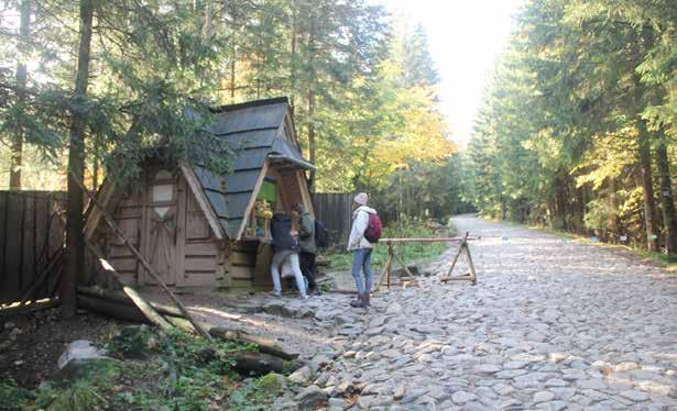 człowiekiem w budce